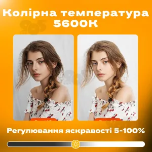 Студийный свет VL-2 150W прожектор софтбокс постоянный видеосвет для фото видео со штативом 280 см, картинка 2