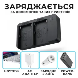 Двойное зарядное устройство для аккумуляторов NP-F F550 F750 F960, картинка 2