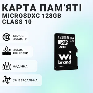 Карта памяти WI Brand MicroSDXC 128GB Class 10 LX